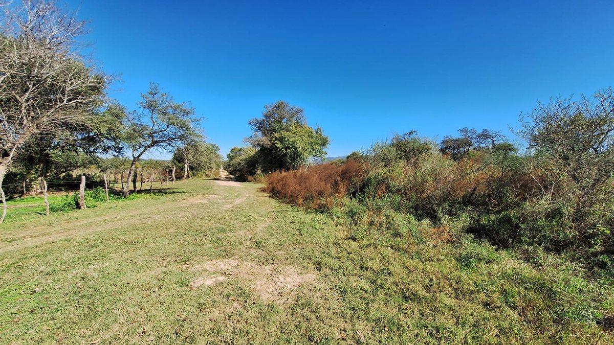 Foto de LOS MOLINOS - VENTA HERMOSO LOTE CON VISTA, imagen 1
