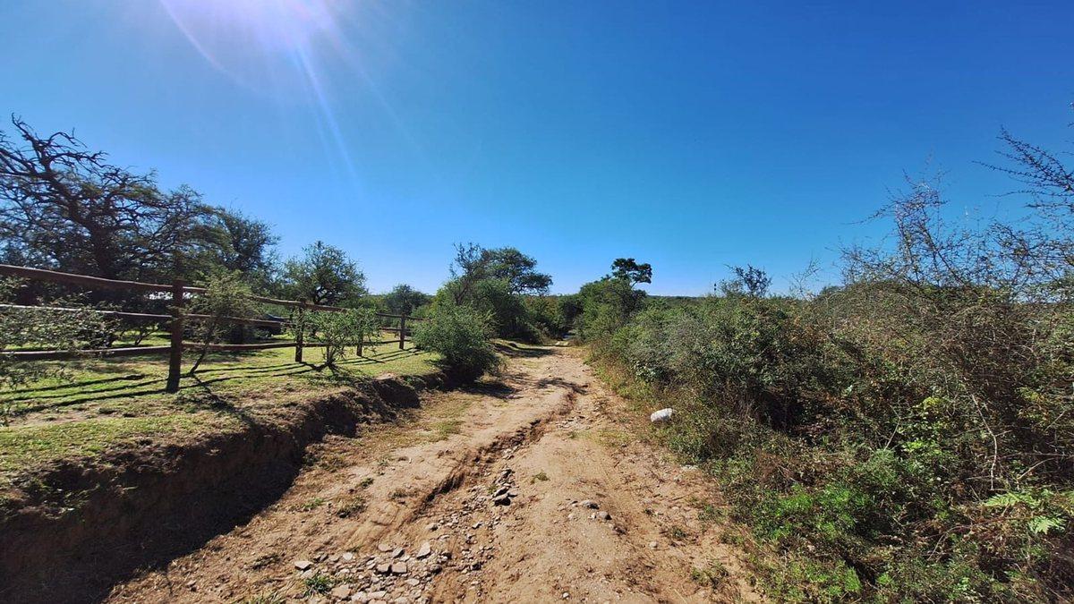 Foto de LOS MOLINOS - VENTA HERMOSO LOTE CON VISTA, imagen 3