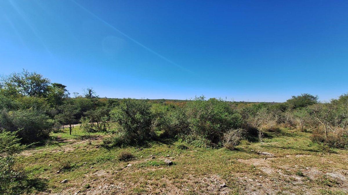 Foto de LOS MOLINOS - VENTA HERMOSO LOTE CON VISTA, imagen 5