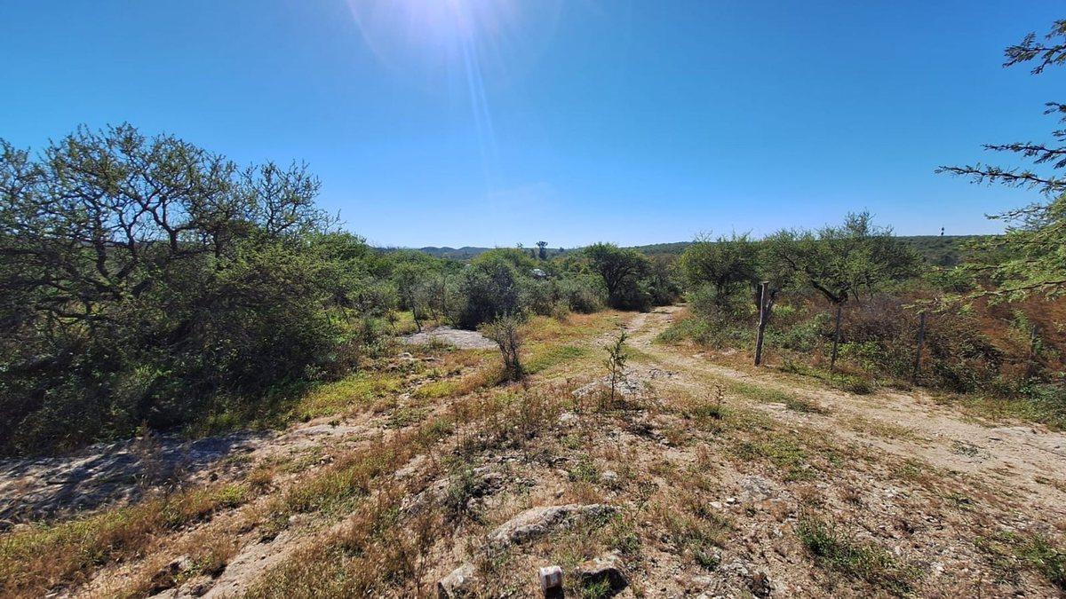 Foto de LOS MOLINOS - VENTA HERMOSO LOTE CON VISTA, imagen 4