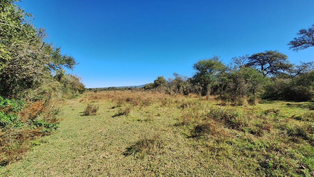 Foto de LOS MOLINOS - VENTA HERMOSO LOTE CON VISTA, imagen 2