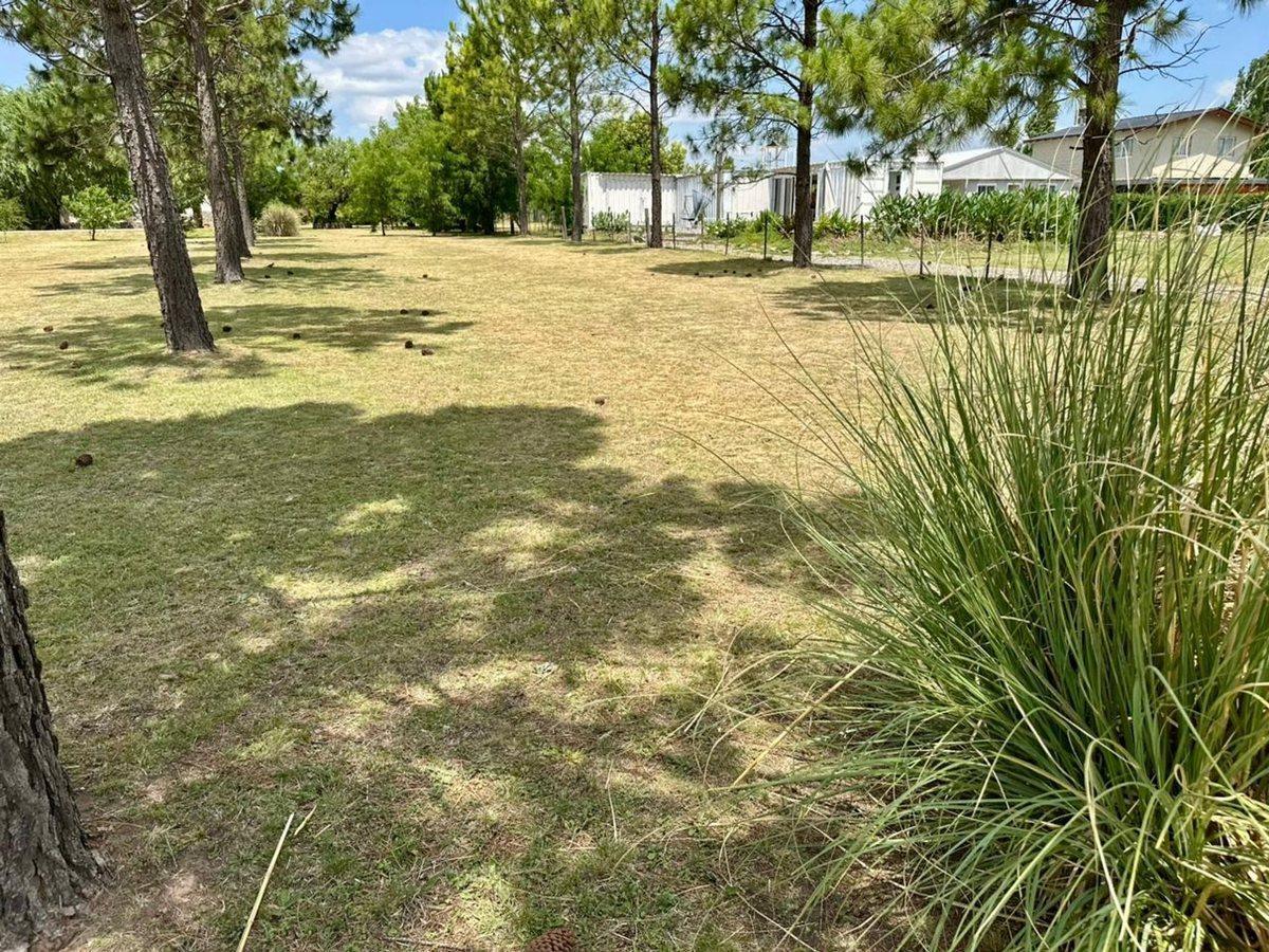 Foto de VENTA TERRENO 750M POTRERO DE GARAY ESCRITURA, imagen 3