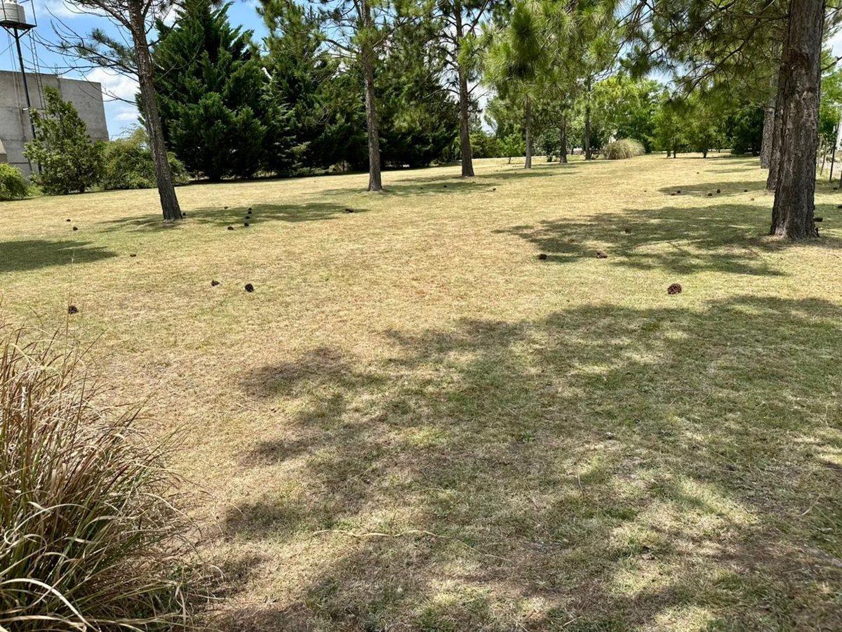 Foto de VENTA TERRENO 750M POTRERO DE GARAY ESCRITURA, imagen 5