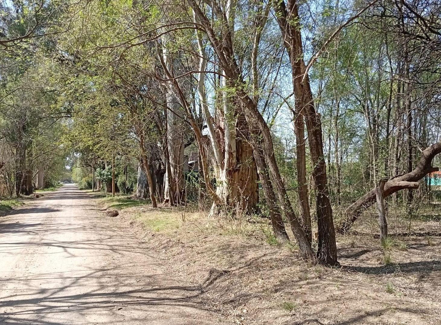 Foto de SE VENDE GRAN LOTE - VILLA MONTENEGRO - ANISACATE, imagen 1