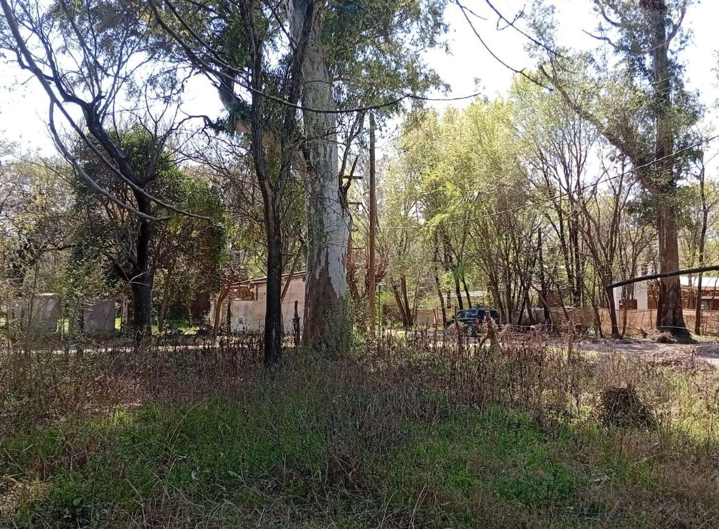Foto de SE VENDE GRAN LOTE - VILLA MONTENEGRO - ANISACATE, imagen 5
