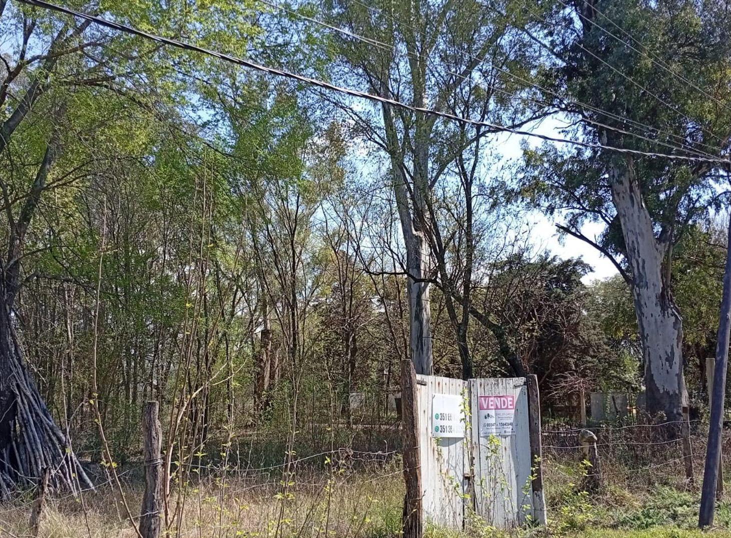 Foto de SE VENDE GRAN LOTE - VILLA MONTENEGRO - ANISACATE, imagen 3