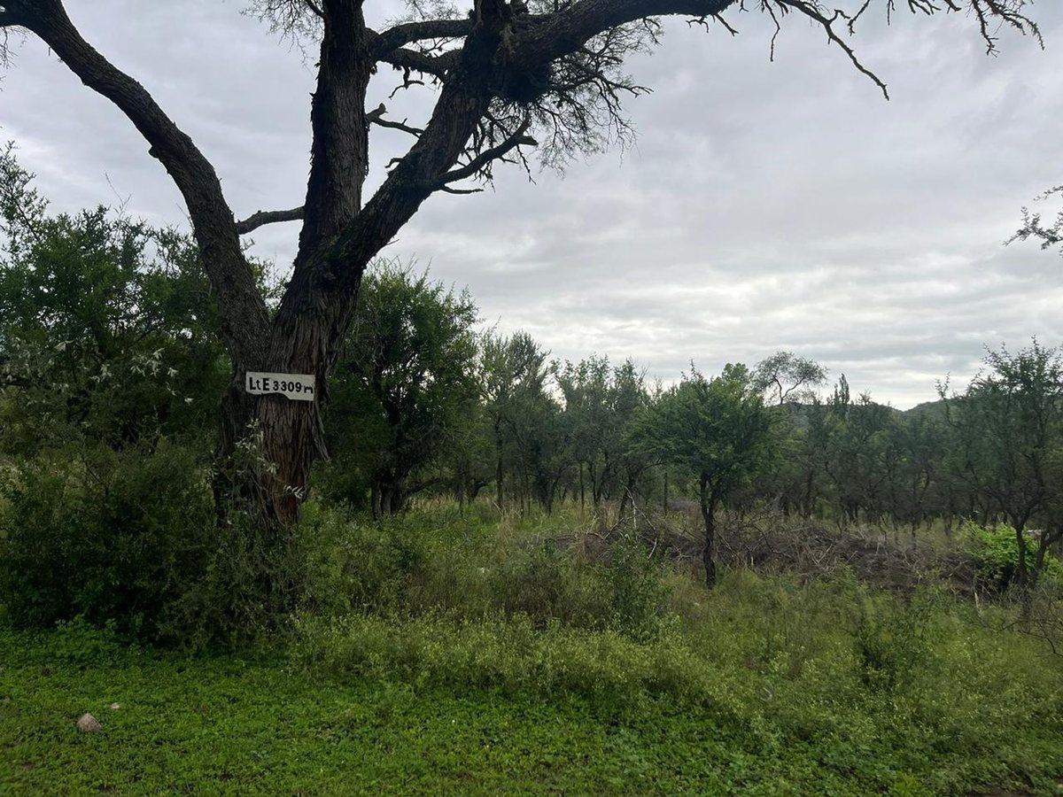 Foto de VENTA LOTE CON ESCRITURA EN SAN HUBERTO NONO, imagen 4