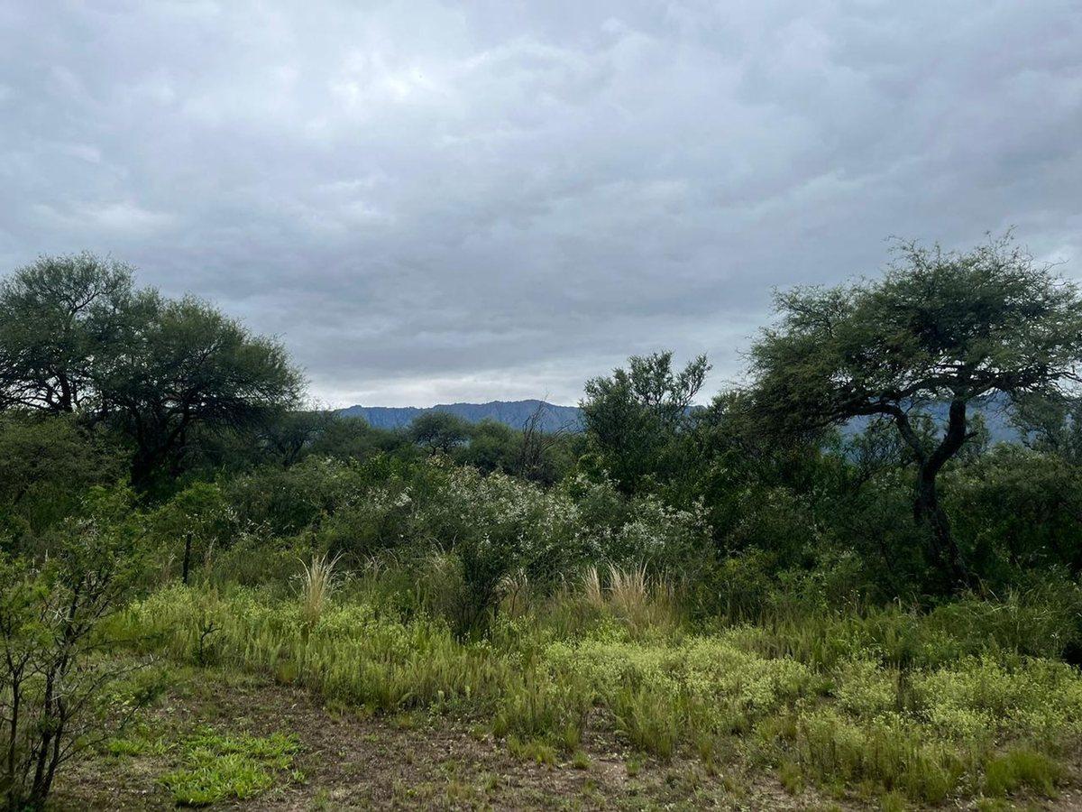 Foto de VENTA LOTE CON ESCRITURA EN SAN HUBERTO NONO, imagen 1