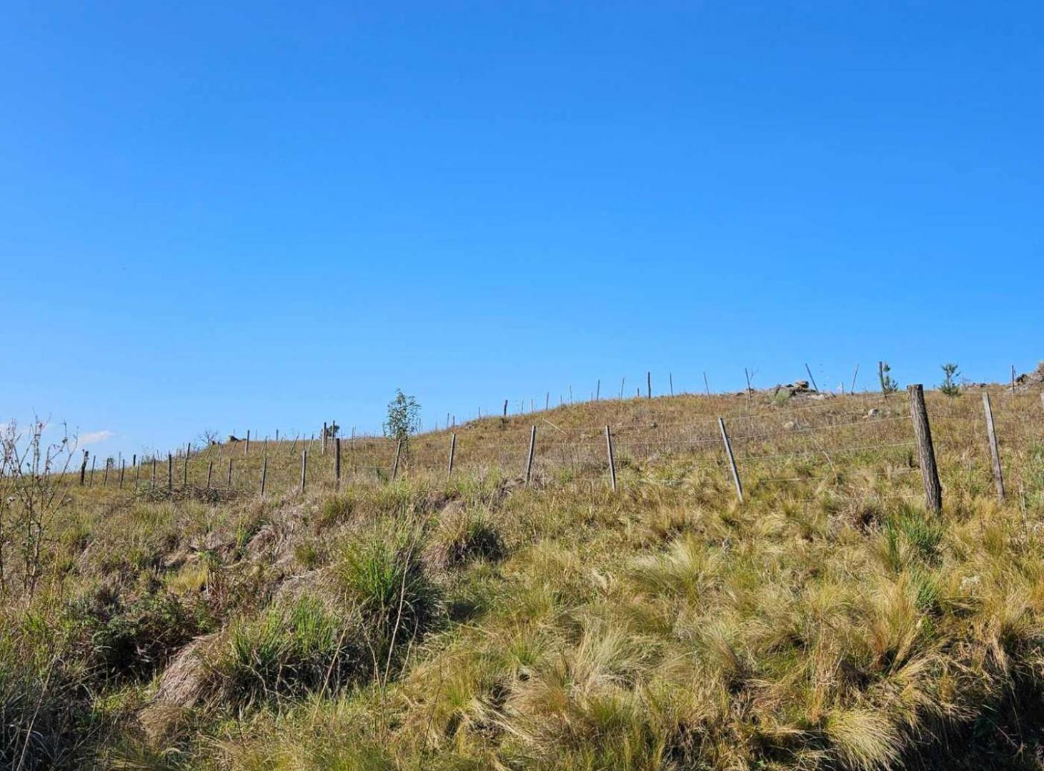 Foto de VENTA LOTE 339m2 VILLA YACANTO, imagen 4