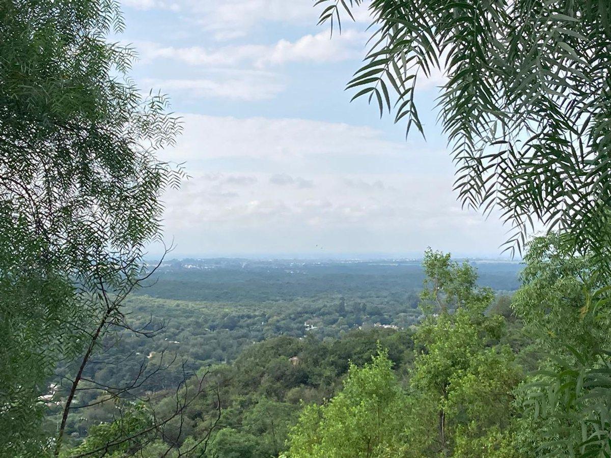 Foto de TERRENO EN VENTA EN RIO CEBALLOS DE 450 METROS, imagen 3