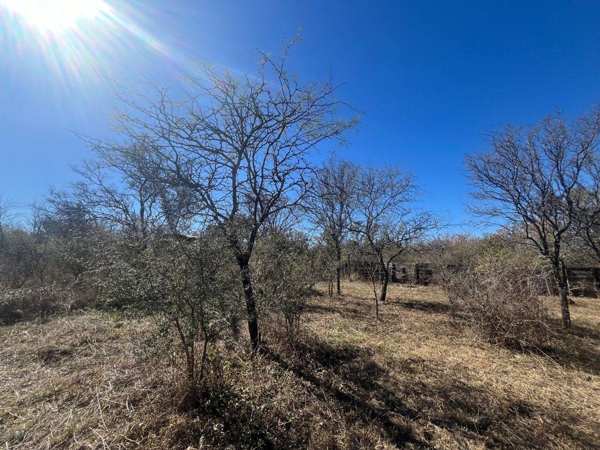 Foto de LOTE CON ARBOLES NATIVOS EN VILLA RIO ANISACATE, imagen 1