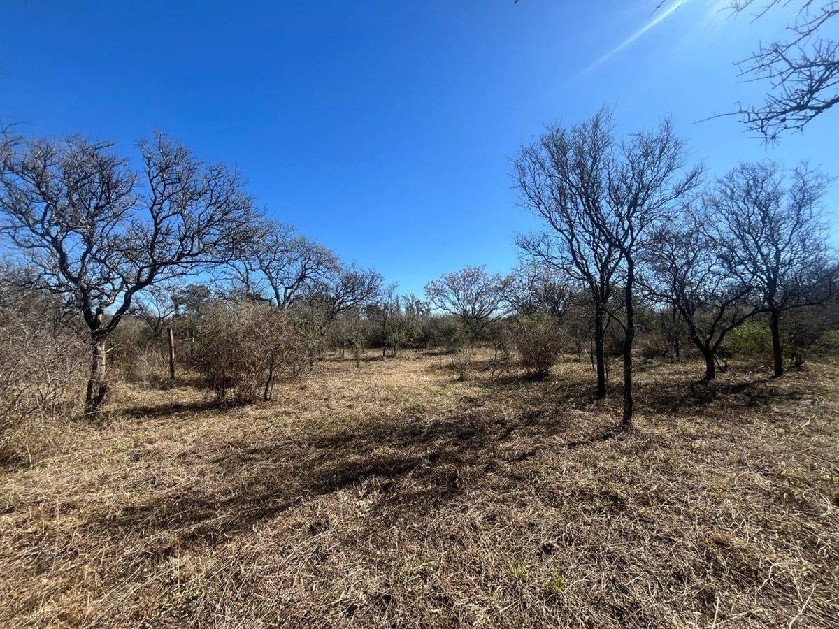 Foto de LOTE CON ARBOLES NATIVOS EN VILLA RIO ANISACATE, imagen 3
