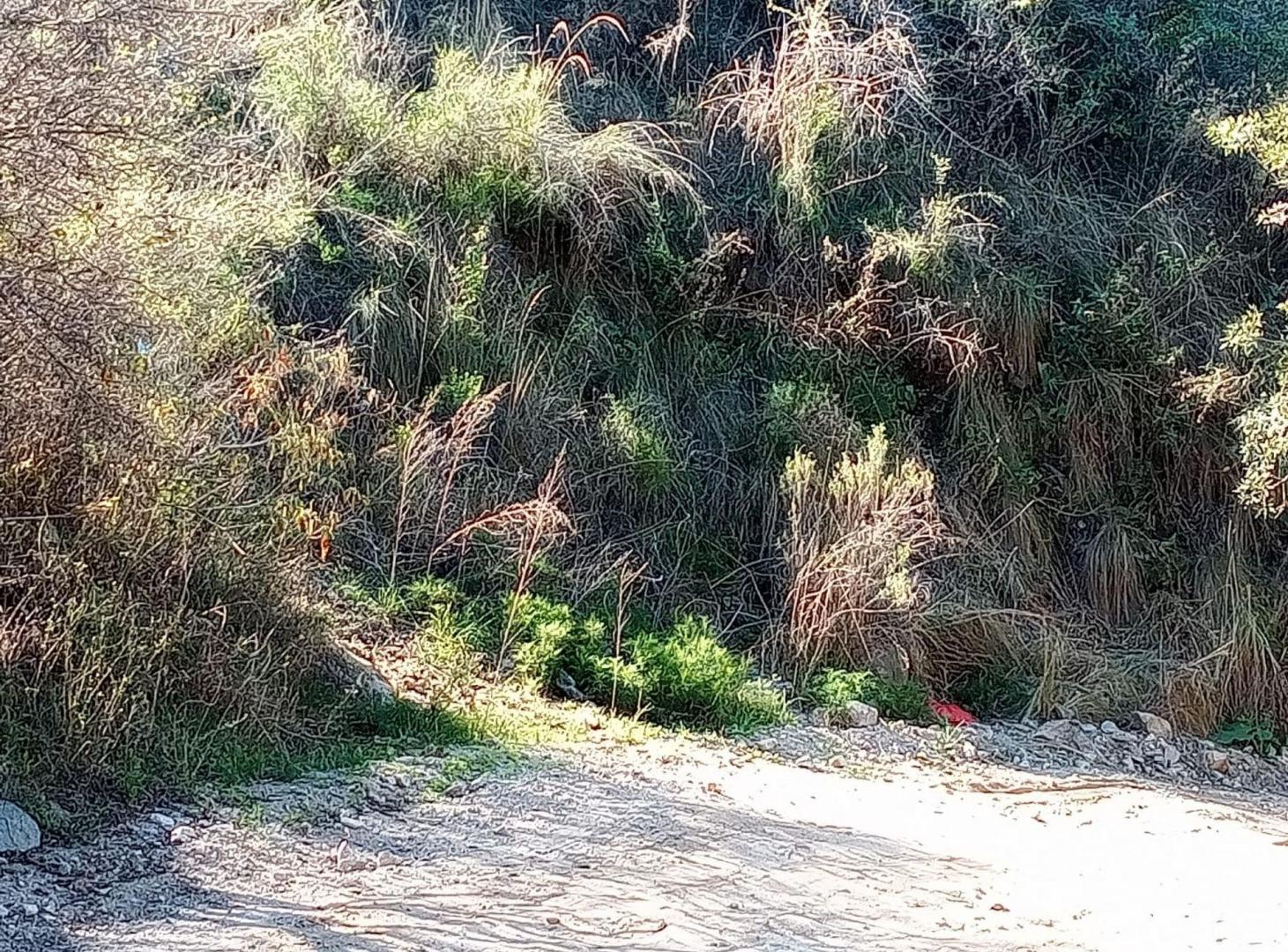 Foto de VENTA GRAN TERRENO EN LAS SIERRAS RIO CEBALLOS, imagen 5