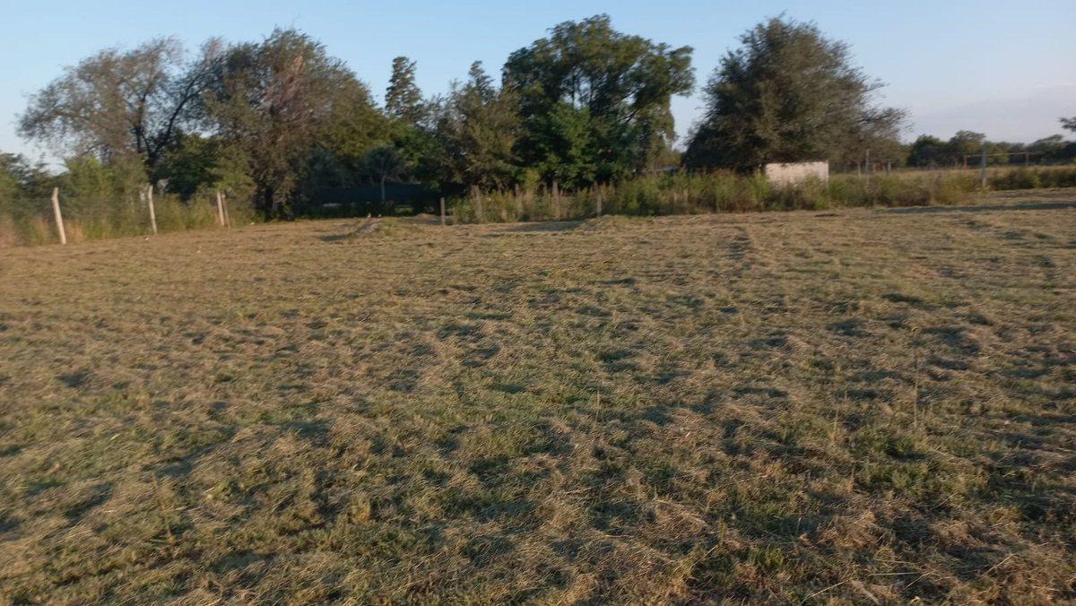 Foto de VENTA LOTE DE 2.578,54 M2 EN ANISACATE, imagen 2