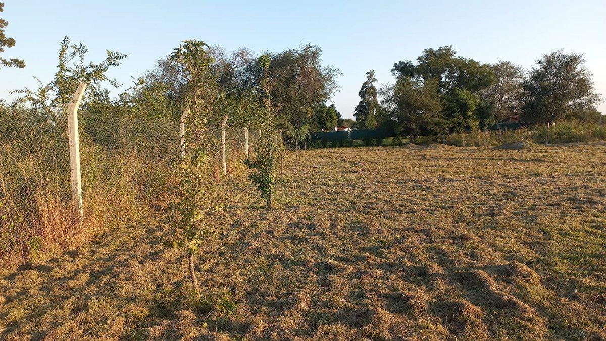Foto de VENTA LOTE DE 2.578,54 M2 EN ANISACATE, imagen 4