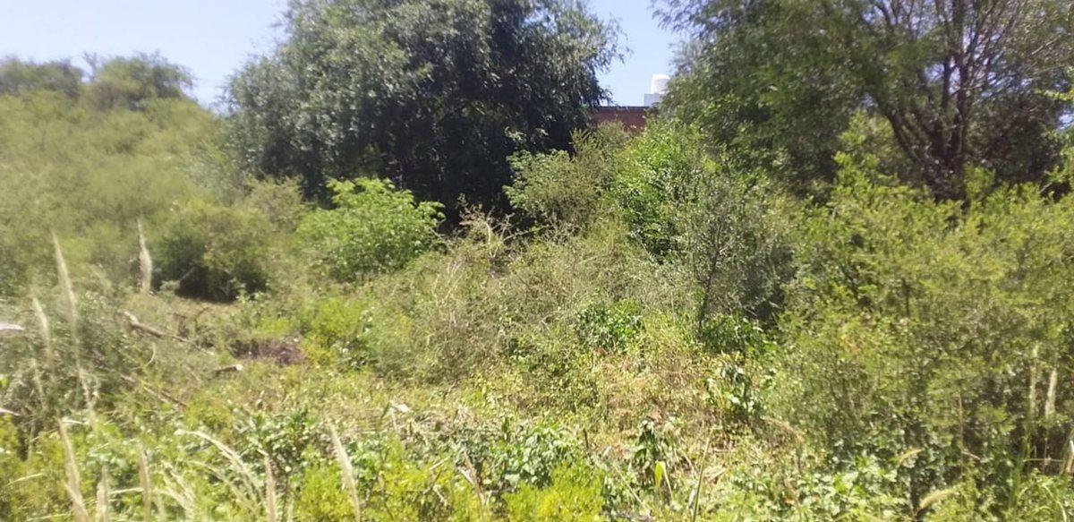 Foto de VENTA TERRENO PARQUE SIQUIMAN 830M2 ESCRITURA, imagen 4