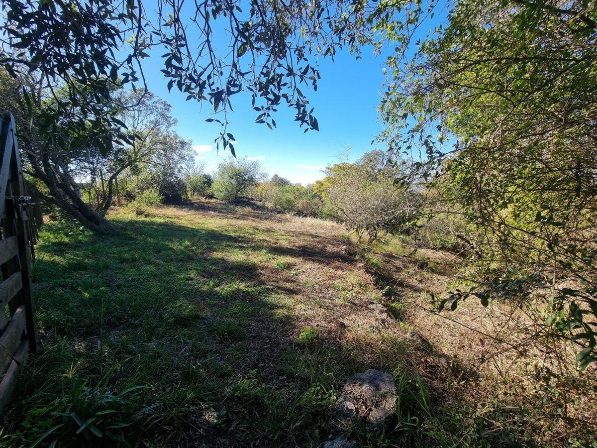 Foto de VENTA LOTE CUESTA BLANCA 1538 M2 VILLA CARLOS PAZ, imagen 1