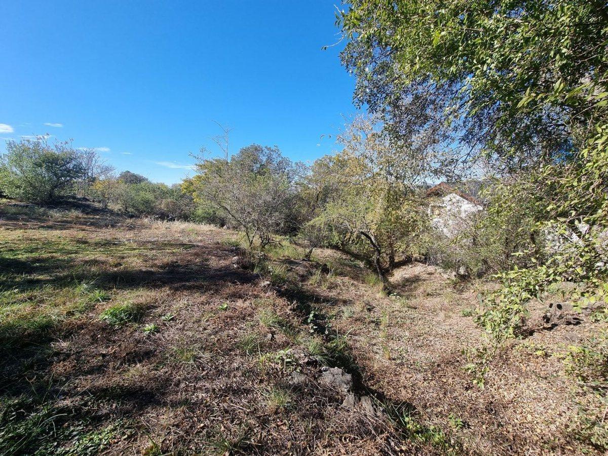 Foto de VENTA LOTE CUESTA BLANCA 1538 M2 VILLA CARLOS PAZ, imagen 4