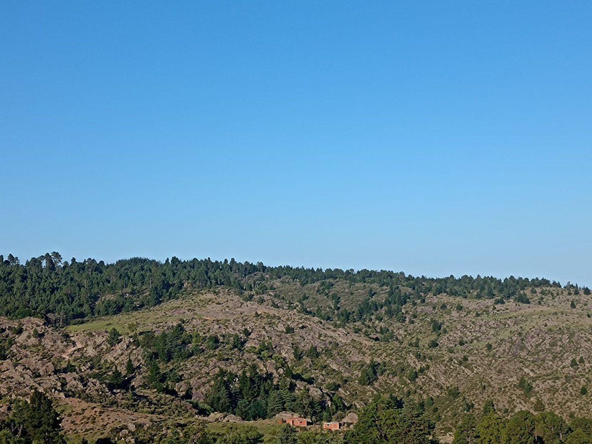 Terrenos