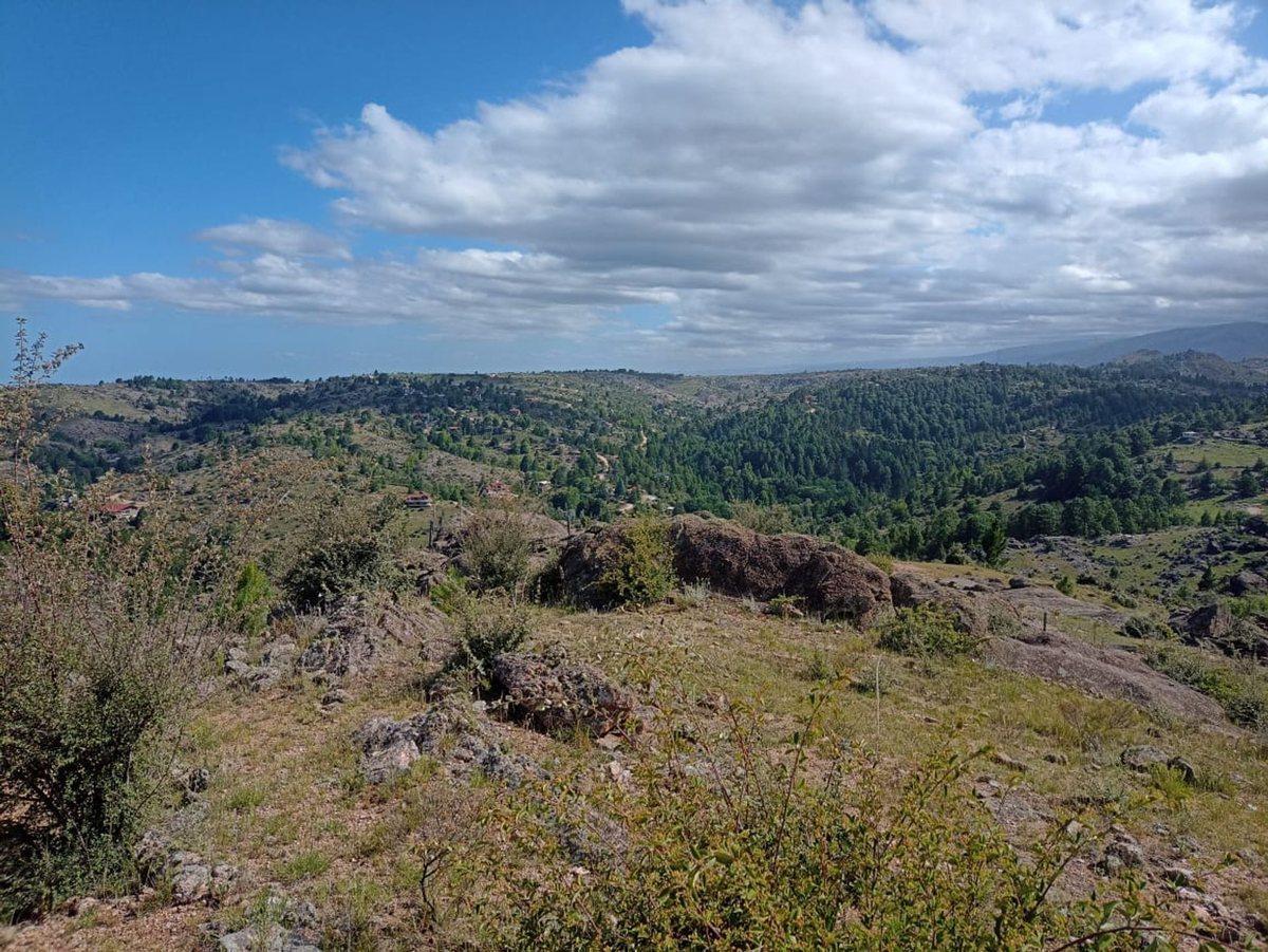 Foto de VENTA 5,2 HECTÁREAS CUMBRECITA PERMUTA FINANCIA, imagen 3