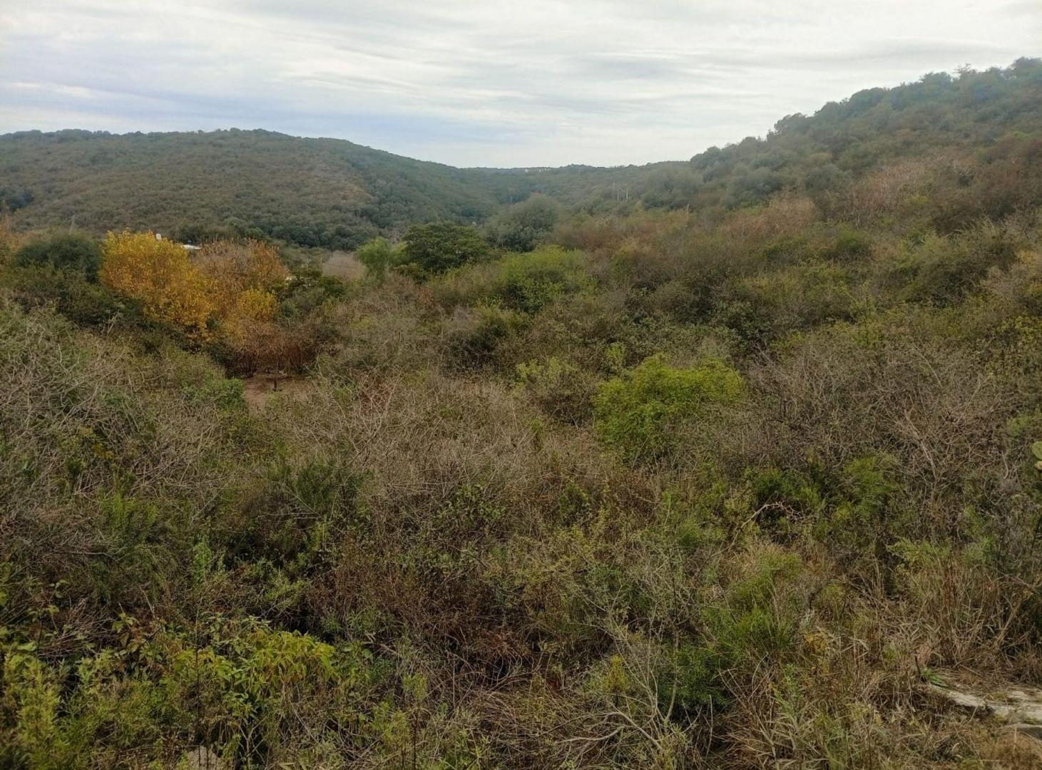 Foto de VENTA TERRENO 1916m2 AGUA DEL PEÑON RIO CEBALLOS, imagen 2