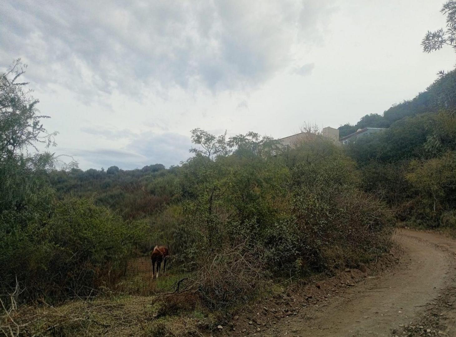 Foto de VENTA TERRENO 1916m2 AGUA DEL PEÑON RIO CEBALLOS, imagen 5