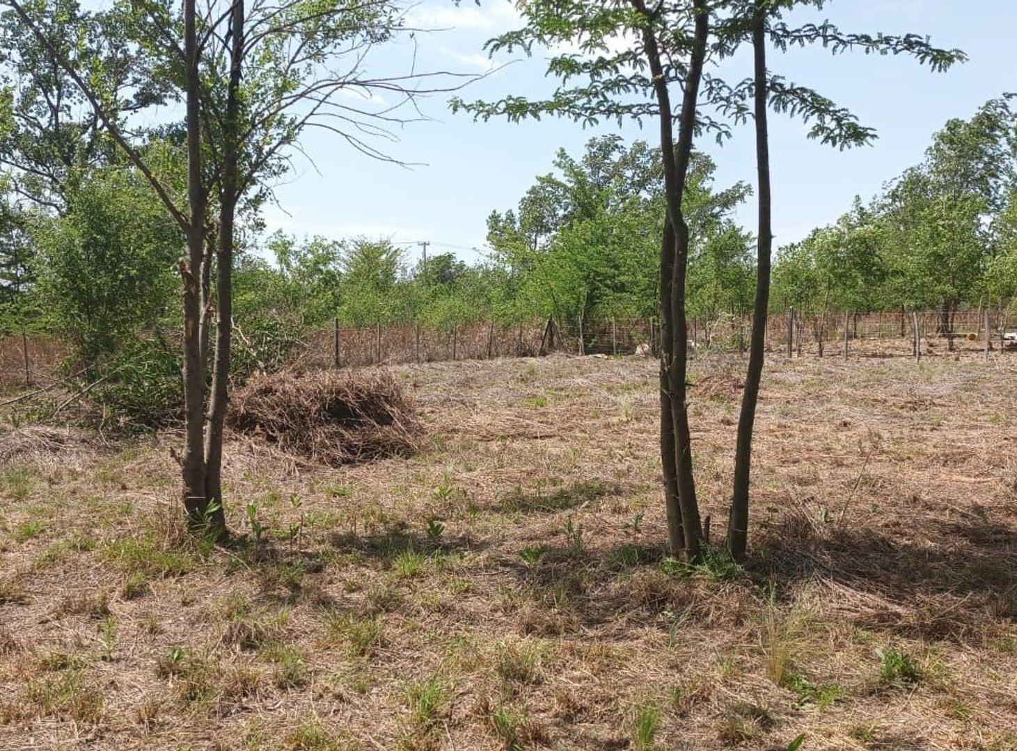 Foto de VENTA LOTE 826M2 EN VILLA QUILLINZO CALAMUCHITA, imagen 1