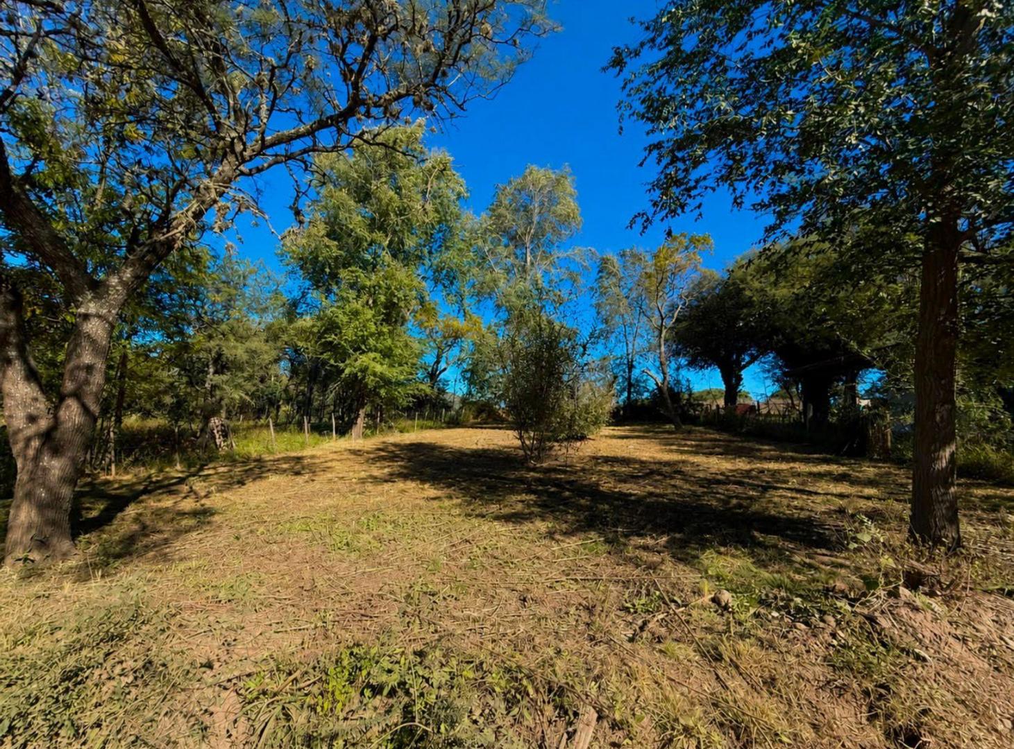 Foto de VENTA TERRENO VILLA GENERAL BELGRANO 515 m2, imagen 3