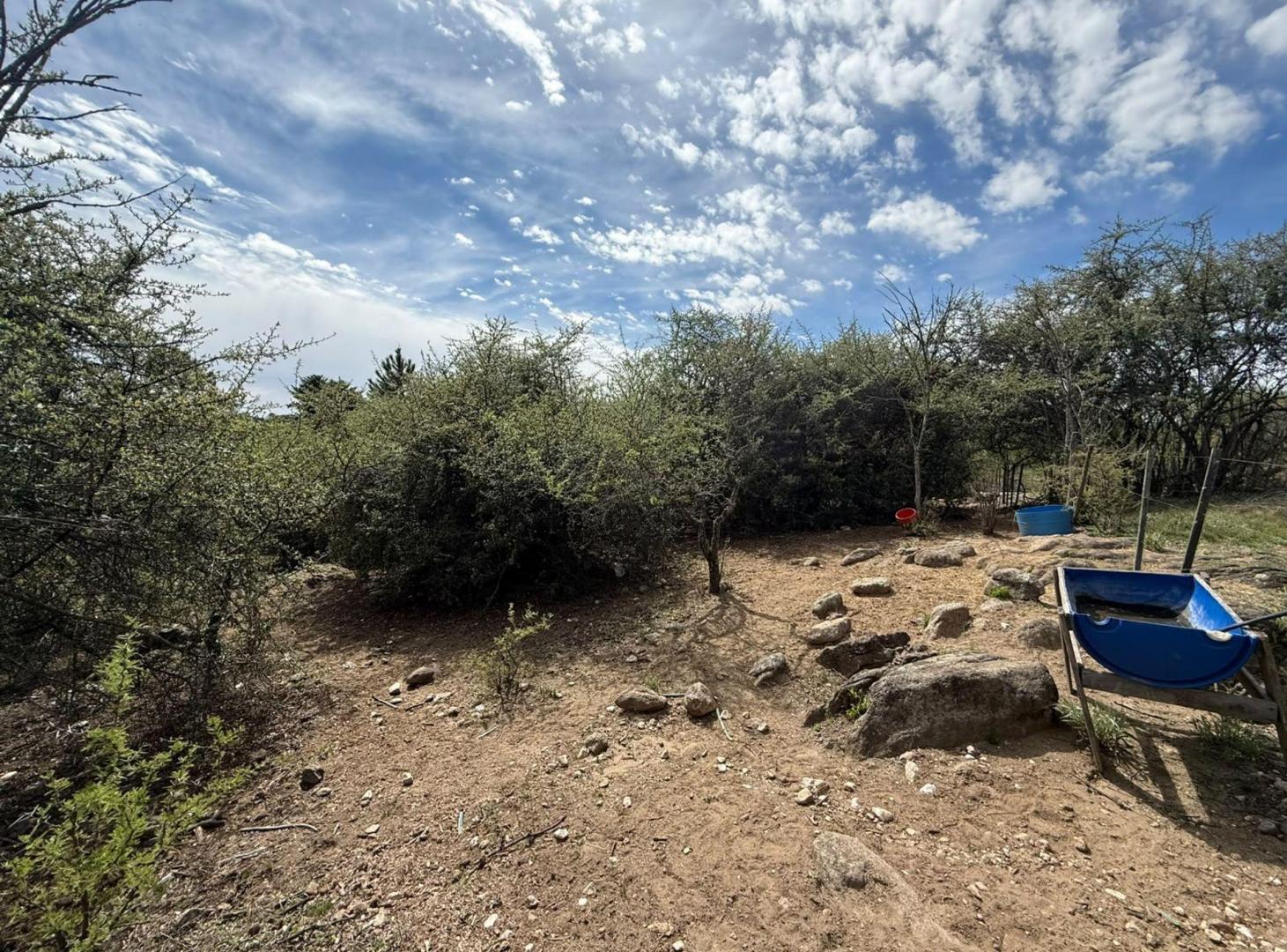 Foto de VENTA LOTE DE 830M2 LOS ESPINILLOS- ESCRITURA, imagen 5