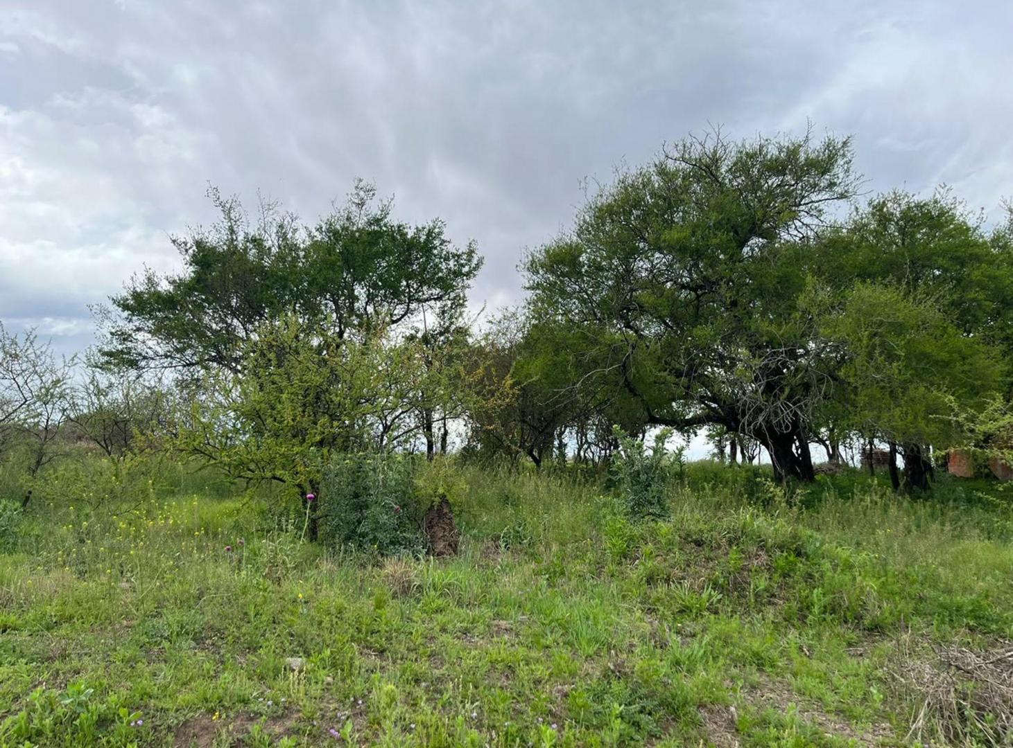 Foto de SE VENDE LOTE 453M EN AIRES DEL NORDESTE SOBRE E53, imagen 3