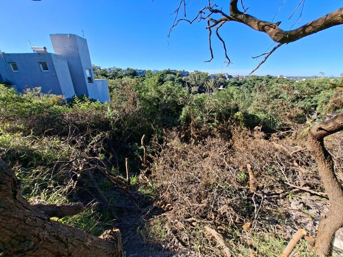 Foto de VENTA LOTE 1053M2 VALLE DEL SOL MENDIOLAZA, imagen 4