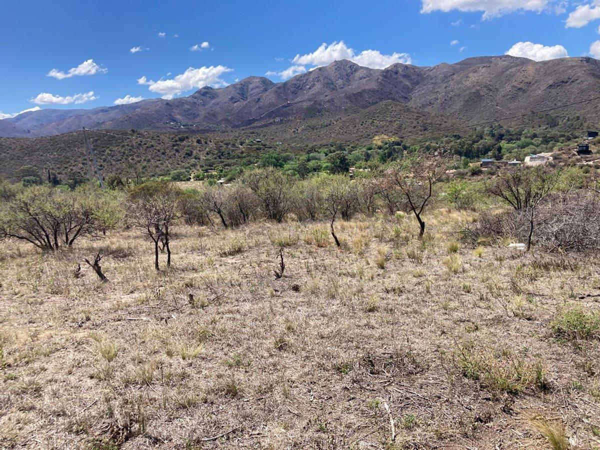 Foto de LOTE DE 3218 MT EN LA CUMBRE CRUZ GRANDE, imagen 1
