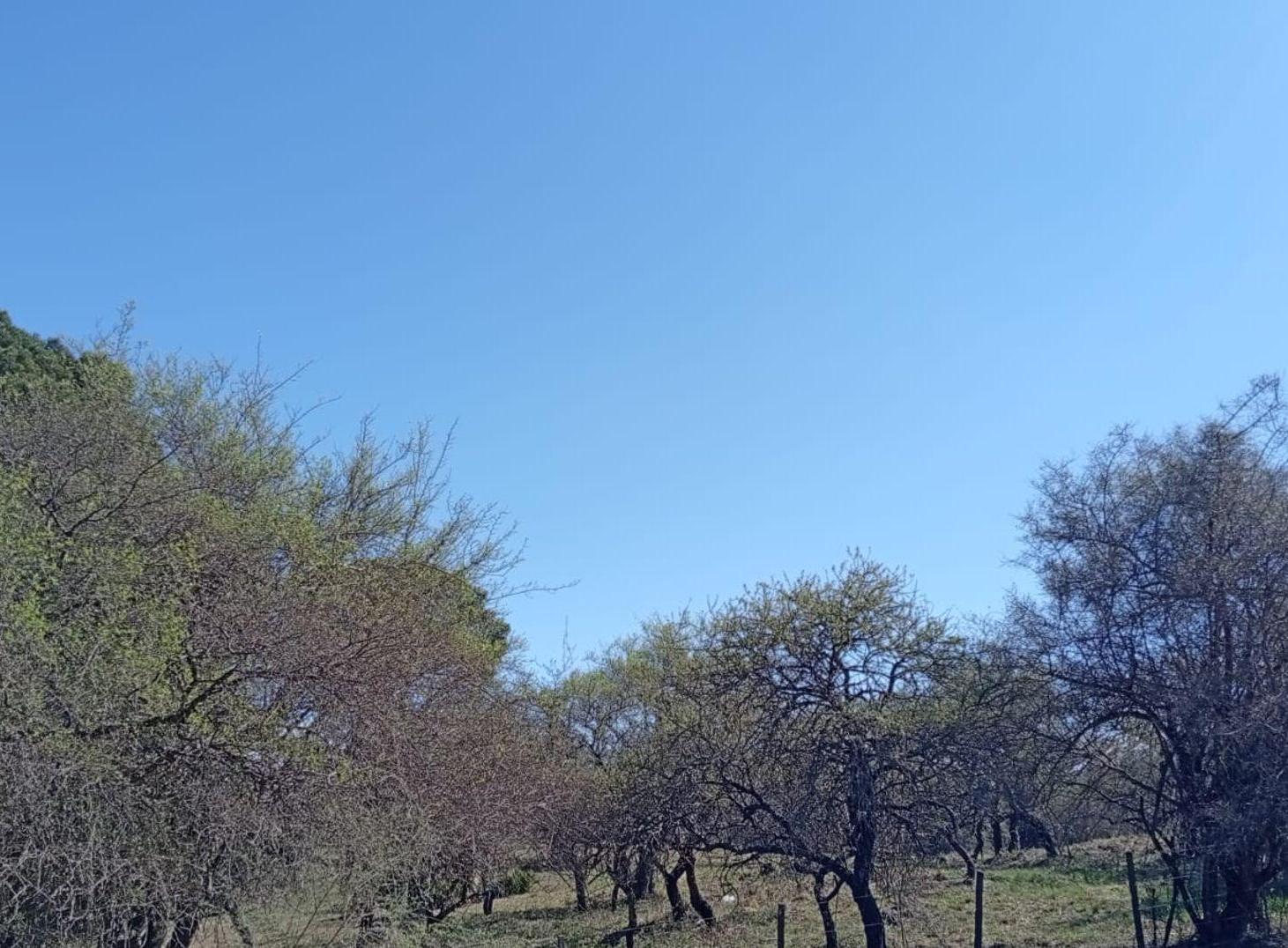 Foto de VILLA LOS AROMOS - VENTA LOTE CON VISTA HERMOSA, imagen 1