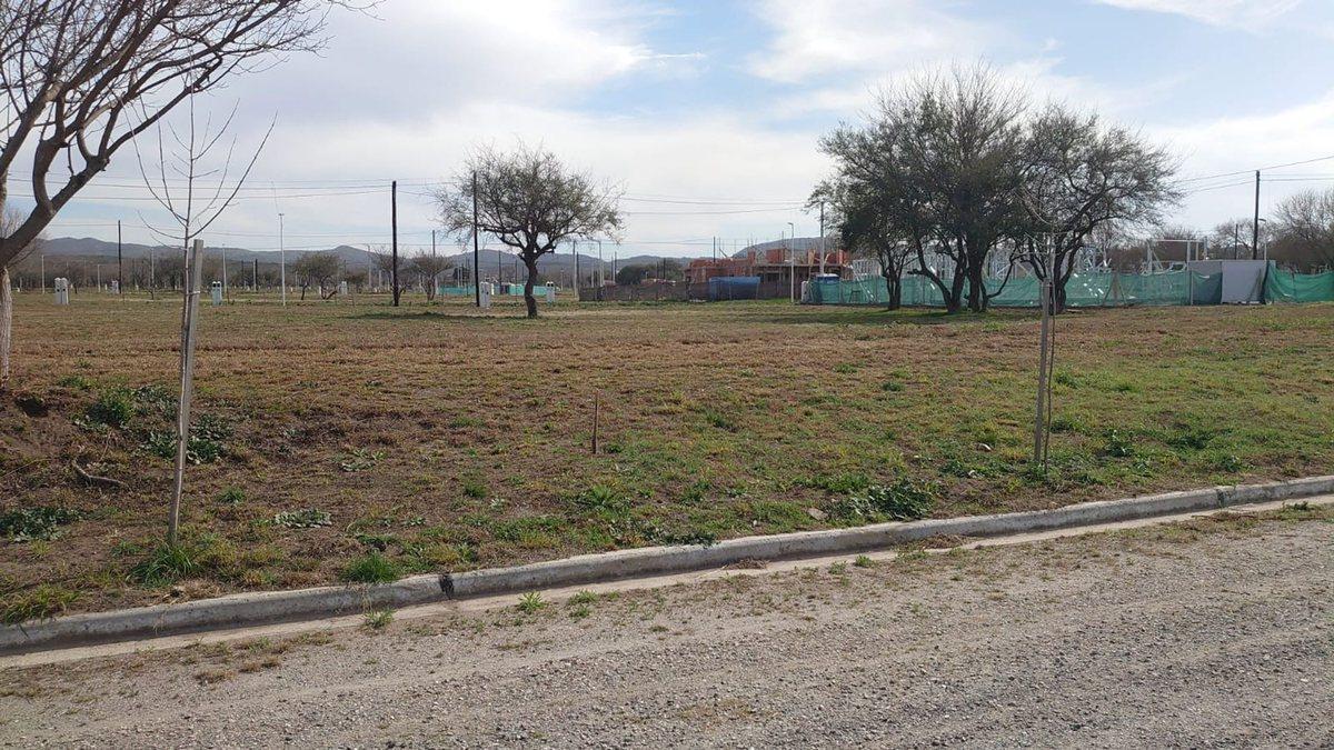 Foto de LOTE 350 M2 EN BARRIO CERRADO TEJAS CUATRO, imagen 3