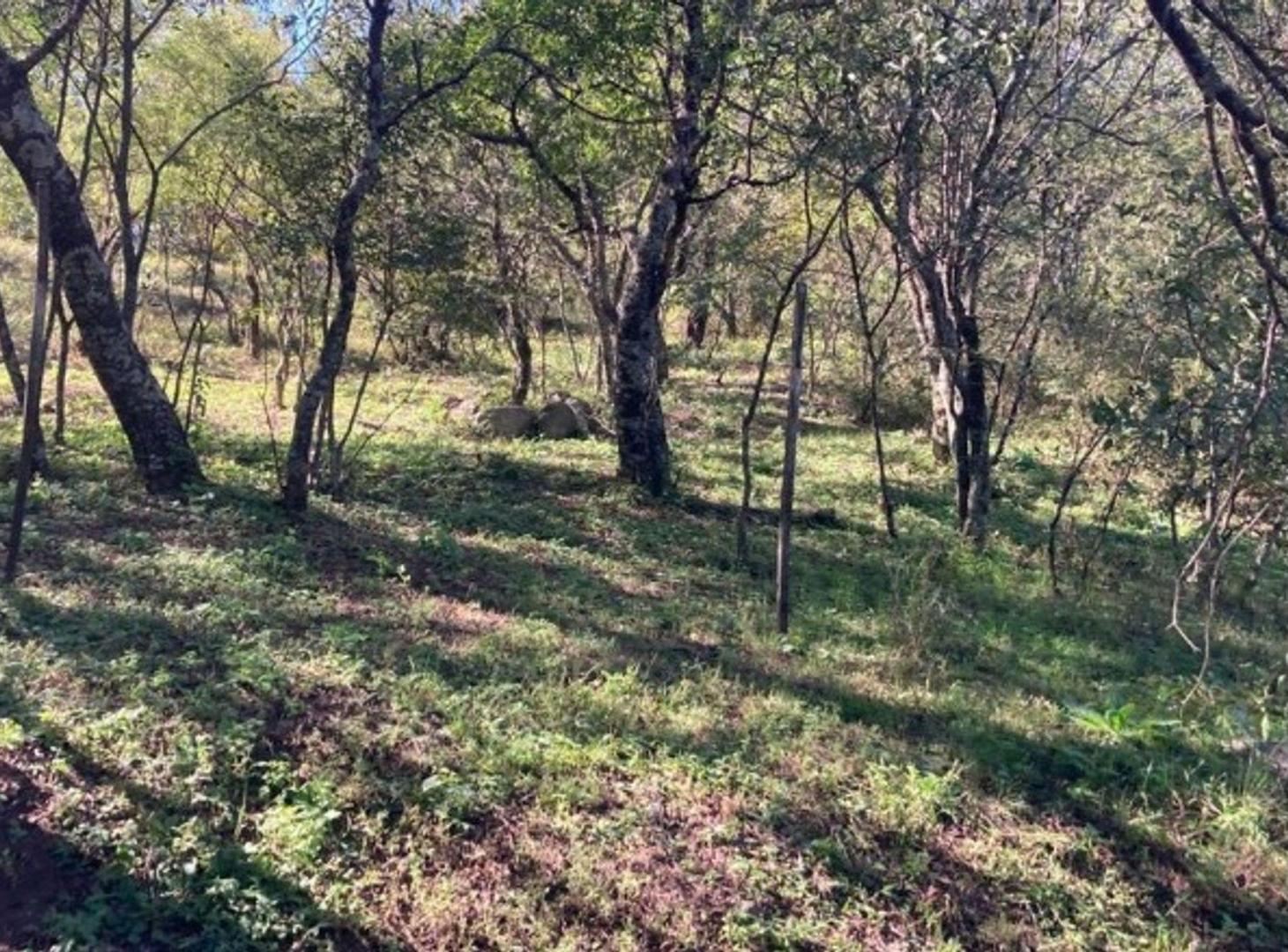 Foto de VENTA LOTE DE 1550 MTS EN CABANA UNQUILLO, imagen 1