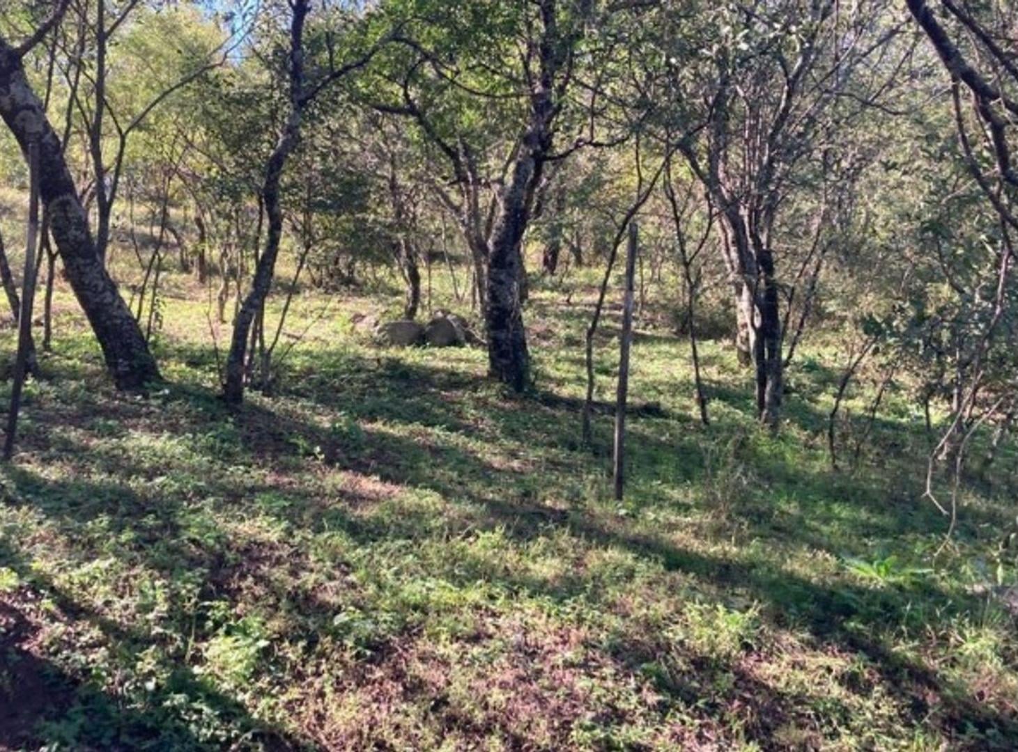 Foto de VENTA 2 LOTES CABANA UNQUILLO, imagen 3
