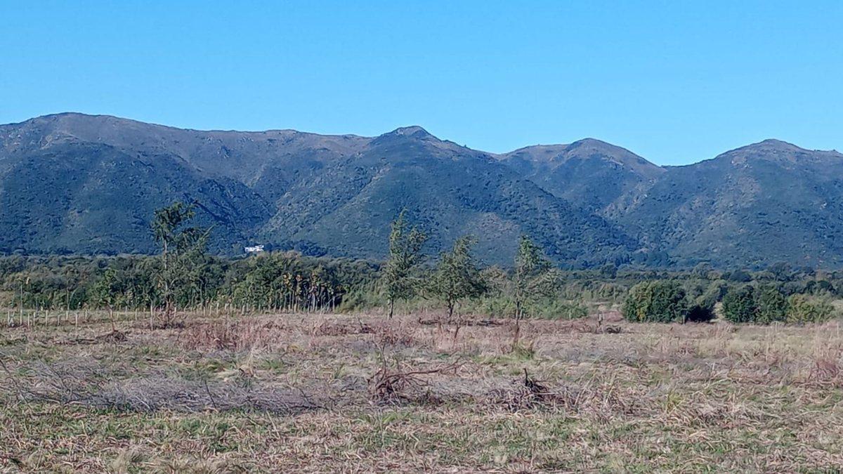 Foto de 5 HAS. EN LOS REARTES CON VISTAS A LAS MONTAÑAS, imagen 4