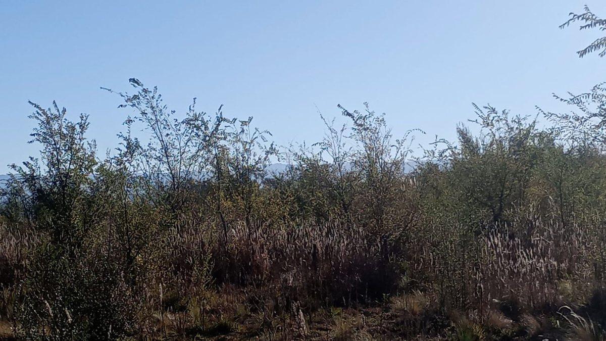 Foto de 5 HAS. EN LOS REARTES CON VISTAS A LAS MONTAÑAS, imagen 2