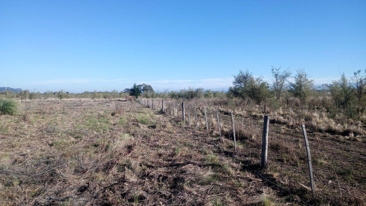 Foto de 5 HAS. EN LOS REARTES CON VISTAS A LAS MONTAÑAS, imagen 5