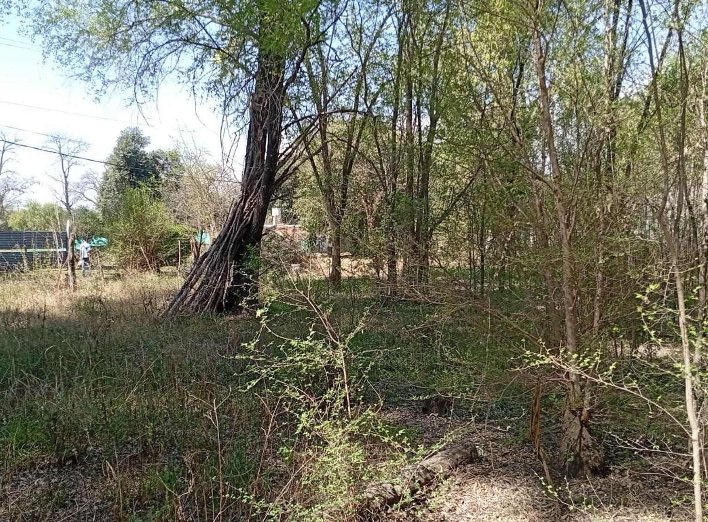 Foto de SE VENDE GRAN LOTE - VILLA MONTENEGRO - ANISACATE, imagen 5