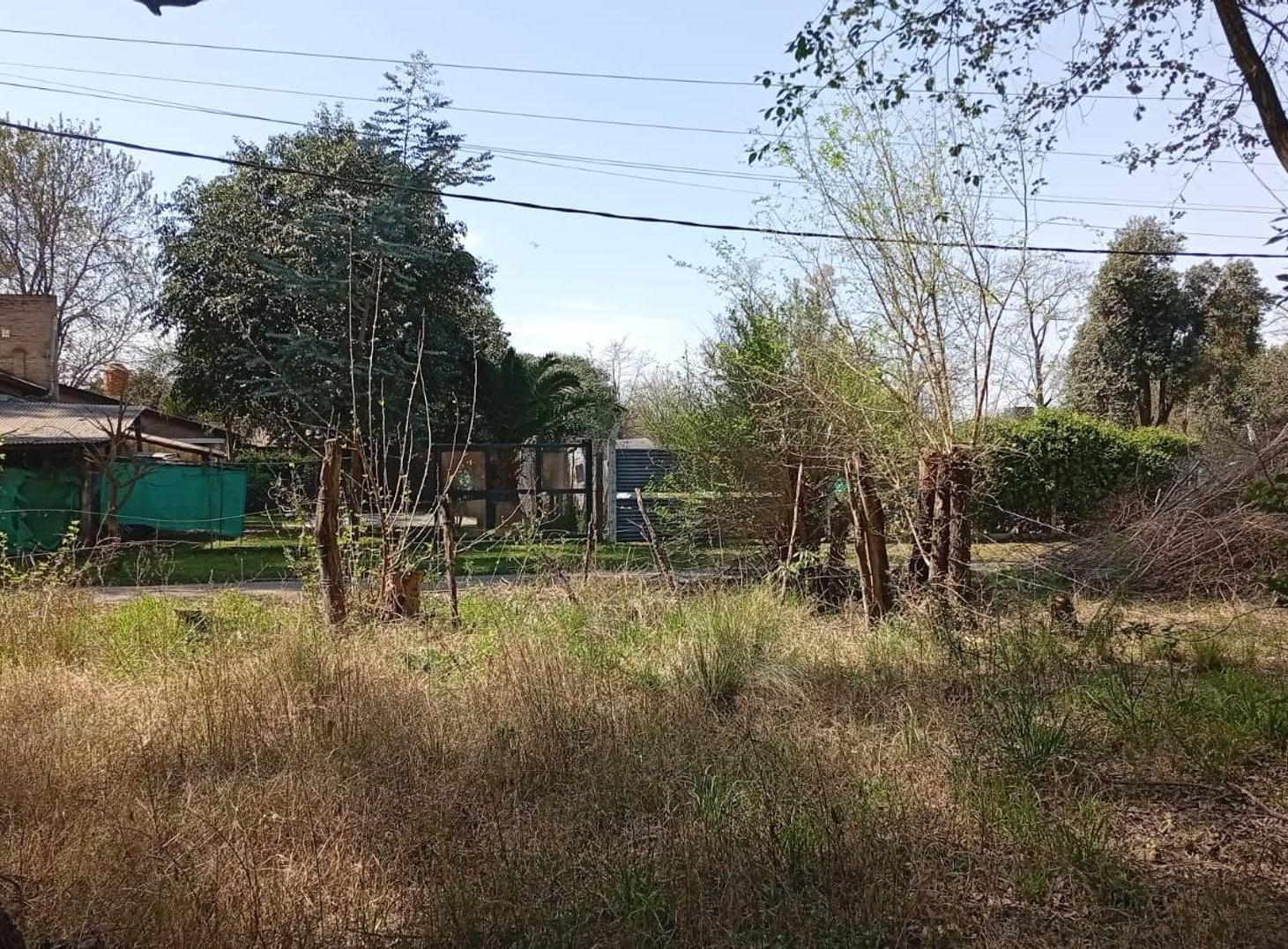 Foto de SE VENDE GRAN LOTE - VILLA MONTENEGRO - ANISACATE, imagen 4