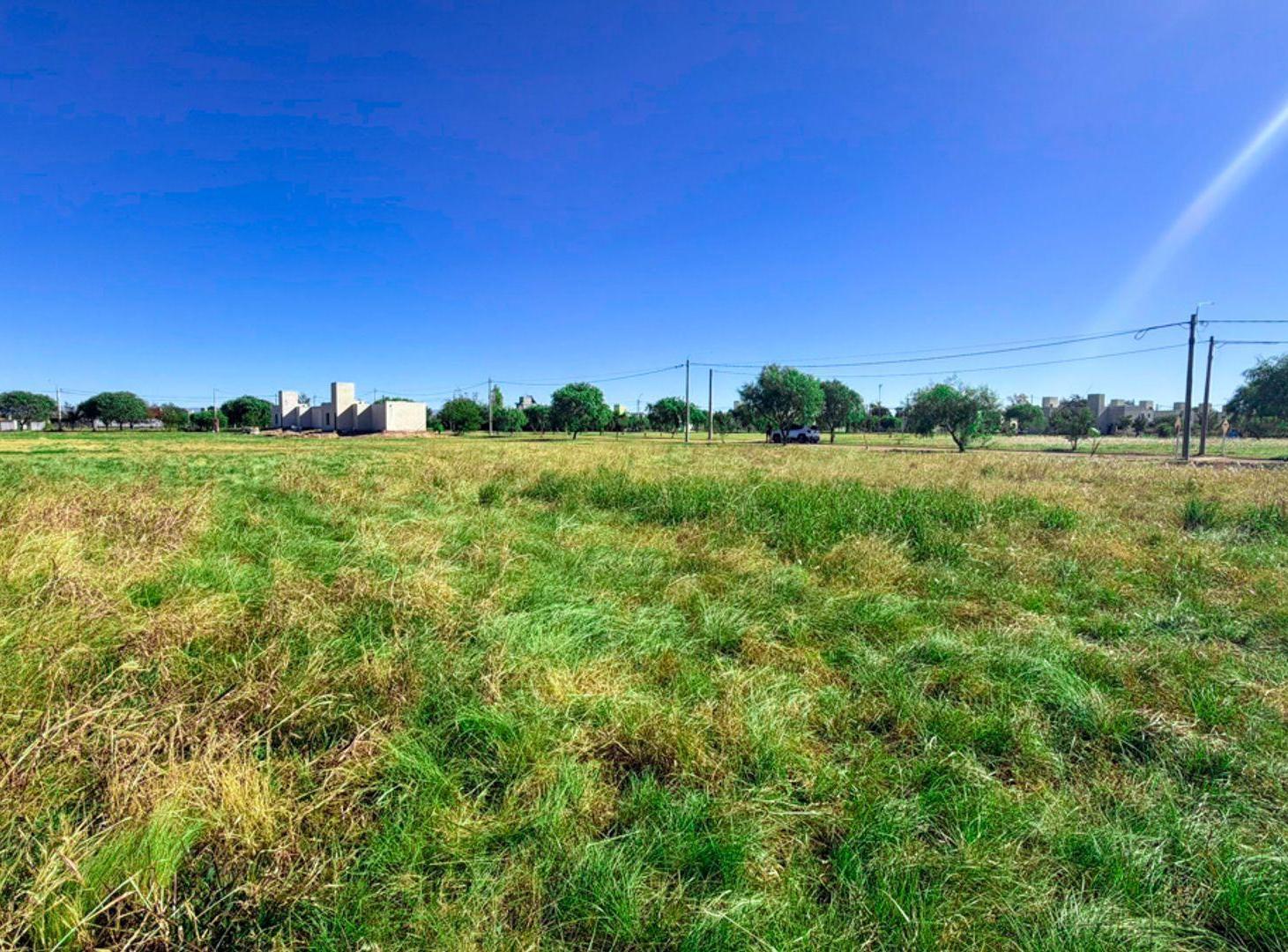 Foto de VENTA LOTE EN SINSACATE DE 1.059M2 OPORTUNIDAD, imagen 4
