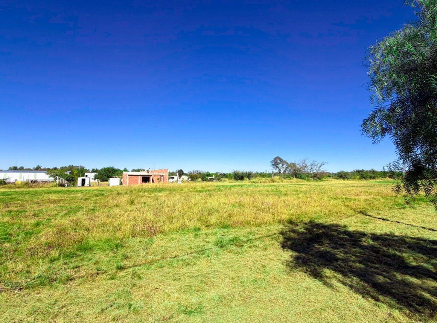 Foto de VENTA LOTE EN SINSACATE DE 1.059M2 OPORTUNIDAD, imagen 2