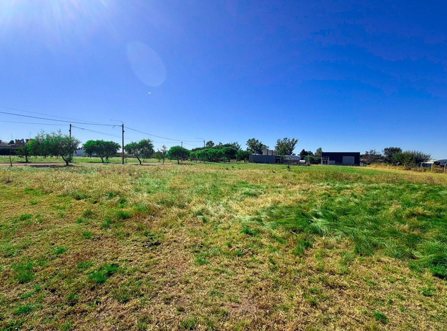 Foto de VENTA LOTE EN SINSACATE DE 1.059M2 OPORTUNIDAD, imagen 5