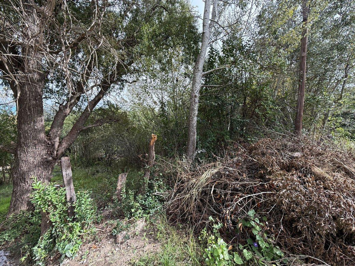 Foto de VENTA TERRENO 425 M2. TANTI NUEVO. A MT DEL RIO, imagen 4