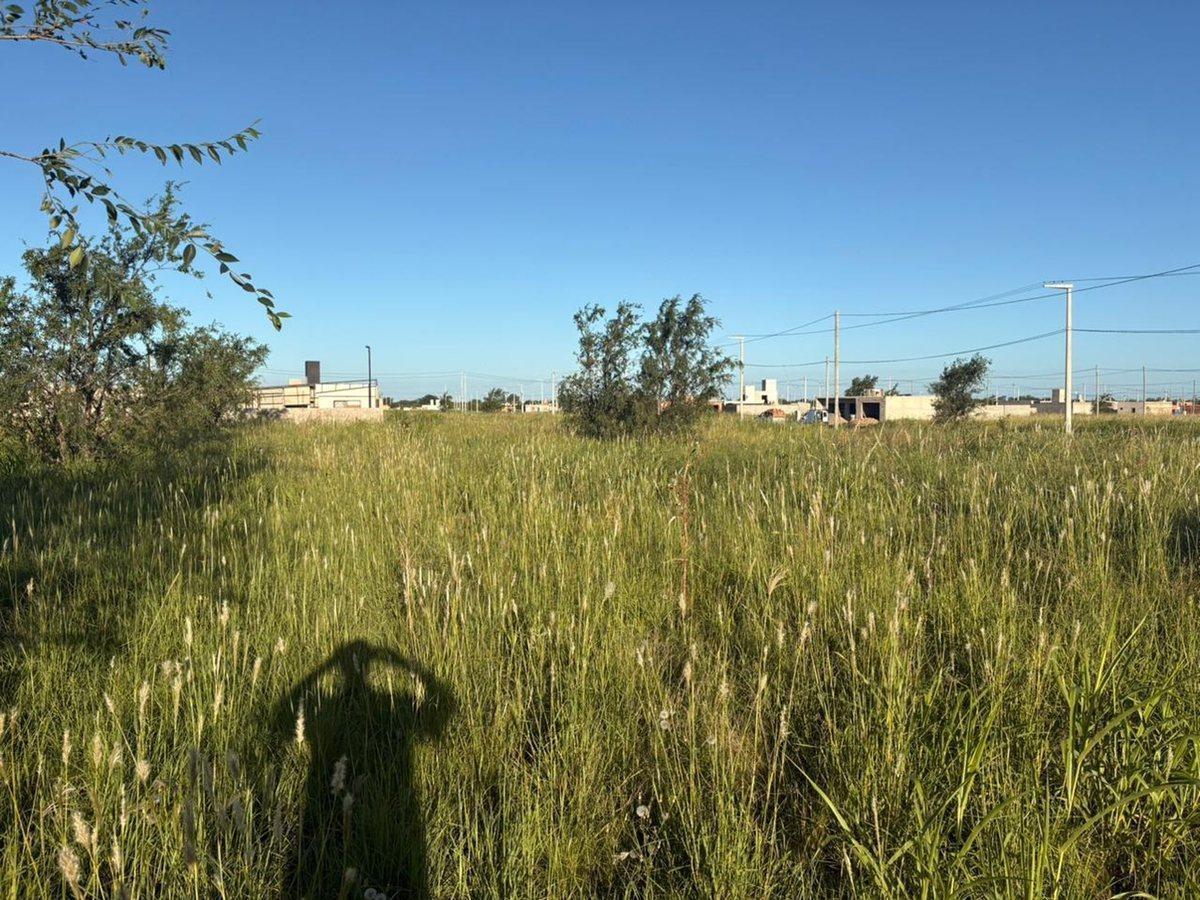 Foto de Se vende terreno de 281 m2 en Juárez Celman, imagen 5