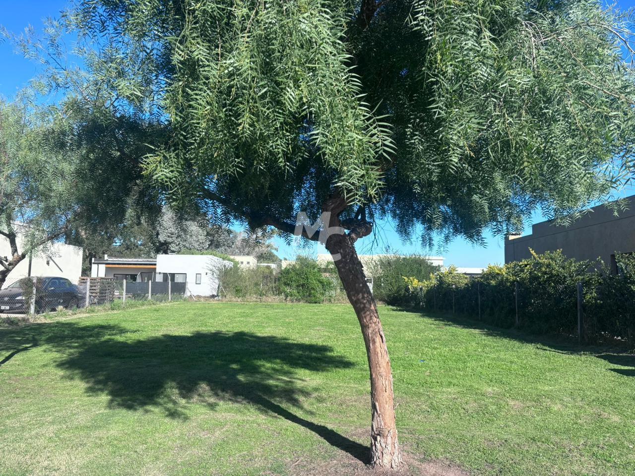 Foto de Terreno en venta en San Ramon, imagen 4