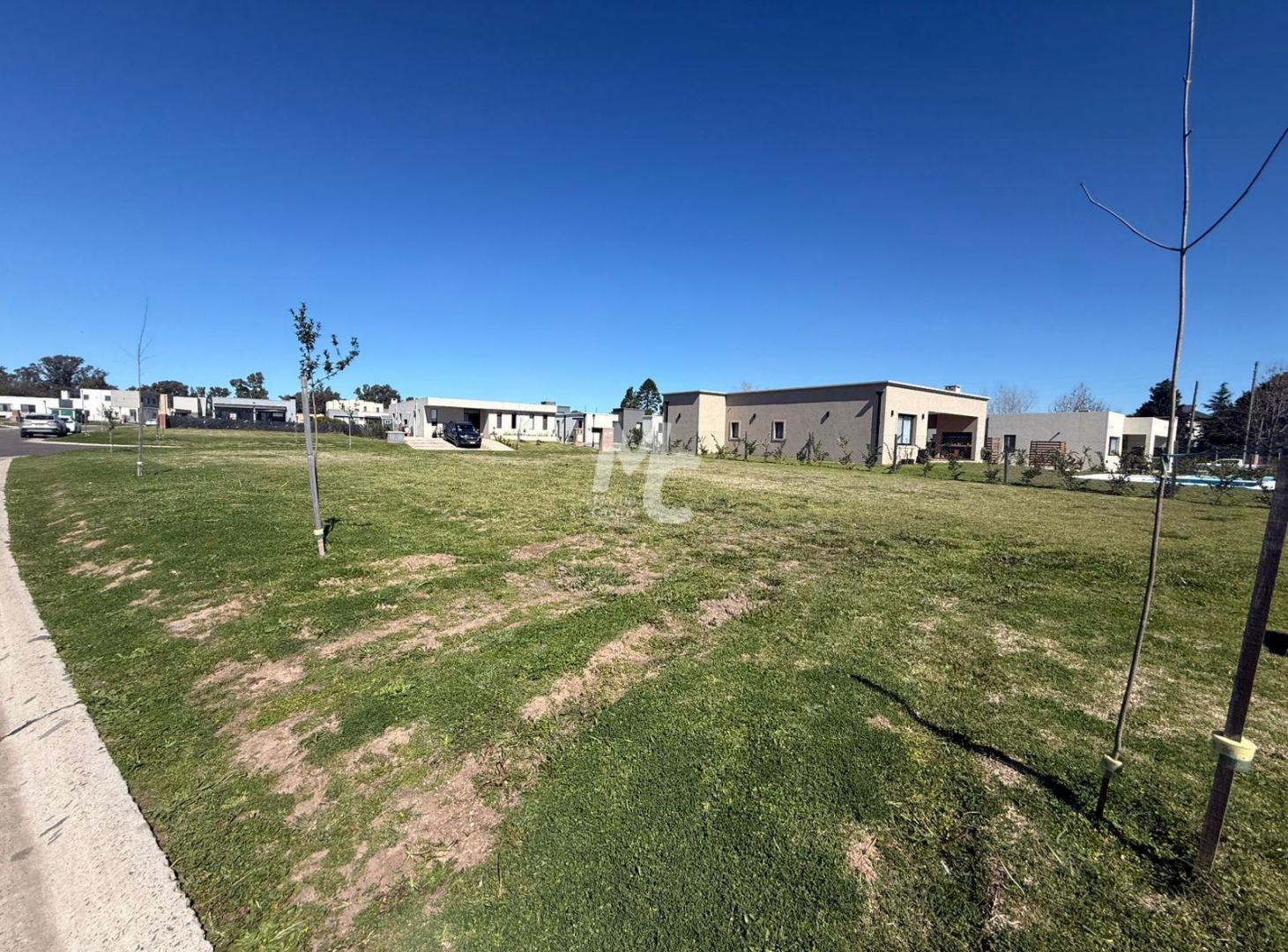 Foto de Terreno en venta en Santa Elisa, imagen 2