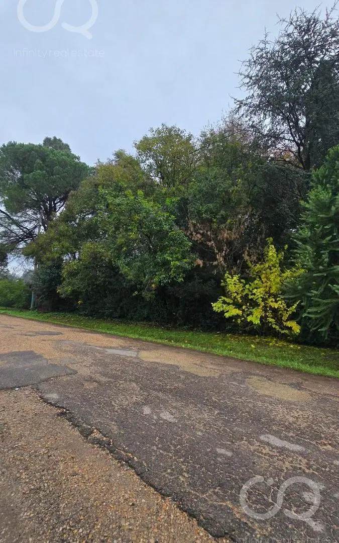 Terreno en Barrio Parque Pero 8
