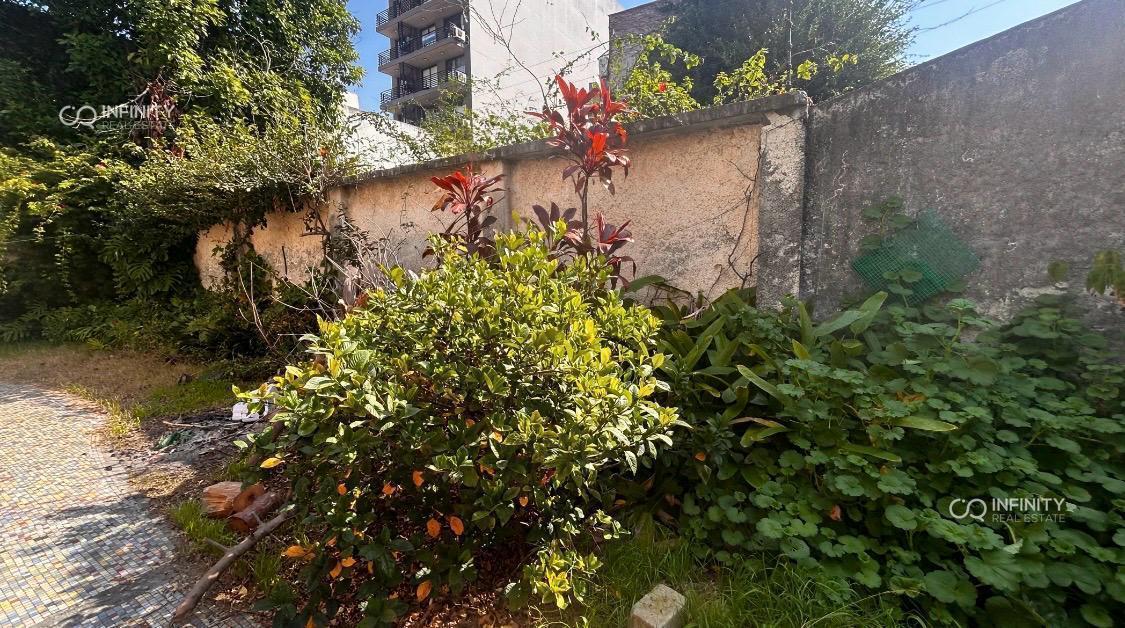 Foto de Venta Lote de 10 x 32 zona residencial bajo el Código Urbano R2b II, imagen 5
